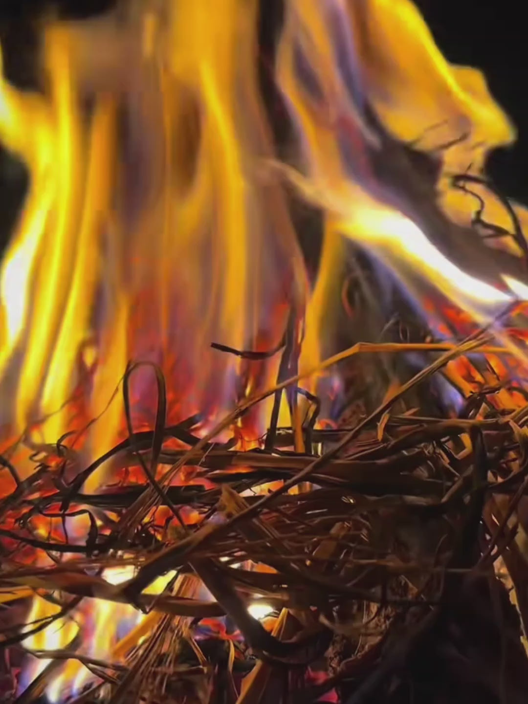 Dimonions (Demonios de Sant Antoni)